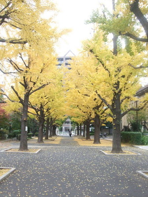 横網町公園