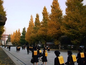 靖国神社の銀杏