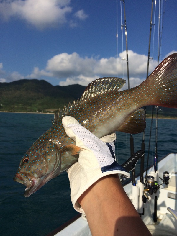 701ED3BD-2A87-41BD-AB15-7D1831CD95BD