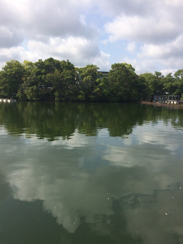 87E50027-49E8-465C-9938-9A0937A9EAB5