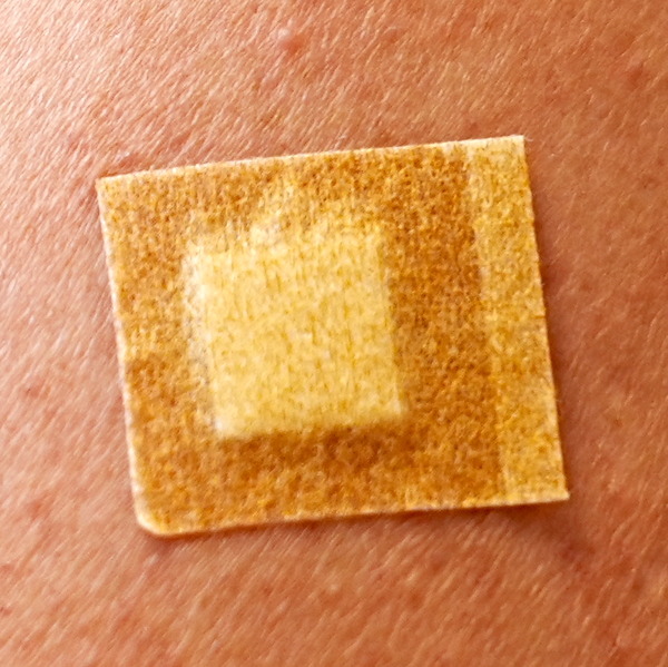 DSC00531のコピー