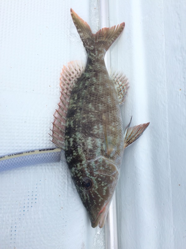 76B5965E-C376-46AF-82E6-1192C8BD4679