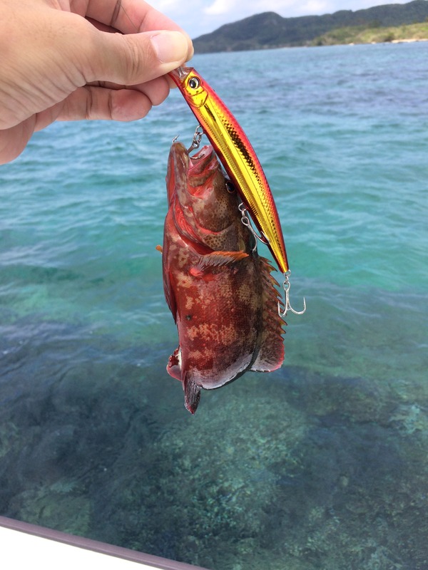 5382CA8D-0D8A-447A-854C-7EEFD351FD44