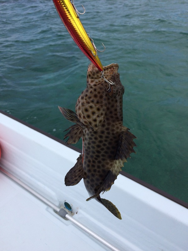 5EB7A1B3-8777-4A3E-8BCC-910A974FF616