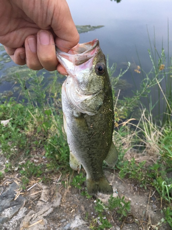 写真 2017-08-21 5 40 26