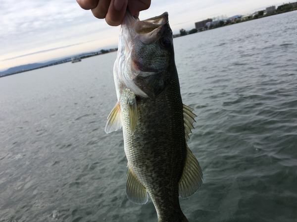 写真 2017-10-05 8 13 52