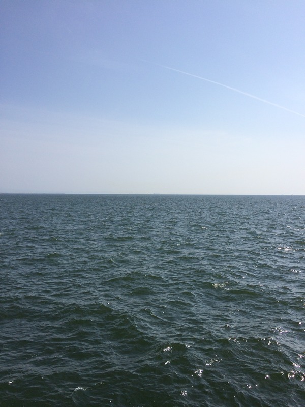 A1392C9F-D9A0-4C22-8ED4-EABC4C78FF35