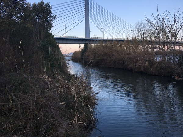 写真 2017-03-15 6 38 26