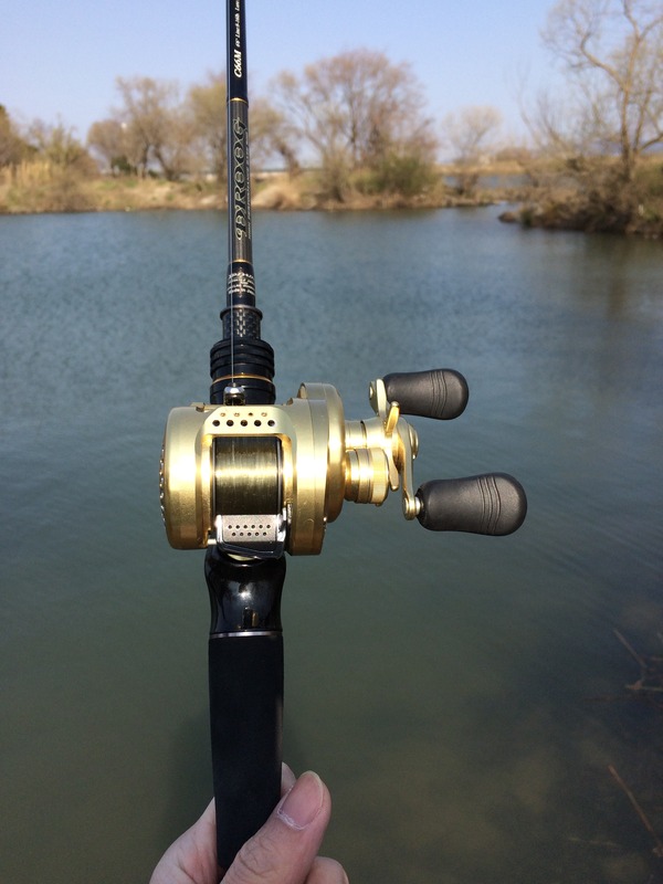 FD4B9564-E4B5-42B0-B38D-825D5EA6D615