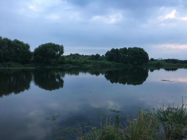 写真 2017-08-21 5 26 12