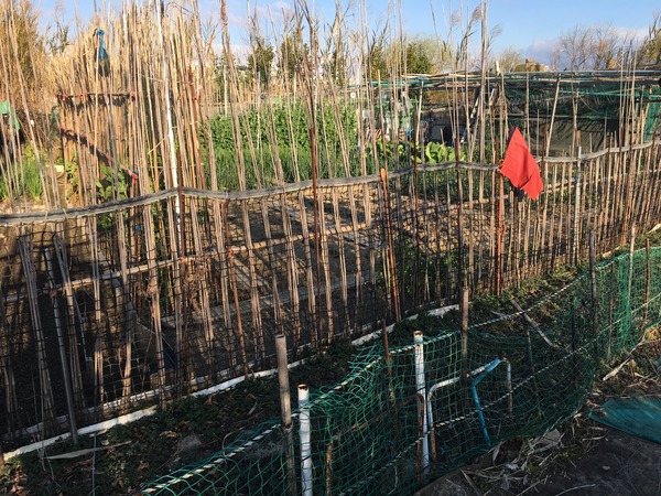 写真 2017-03-15 7 26 12