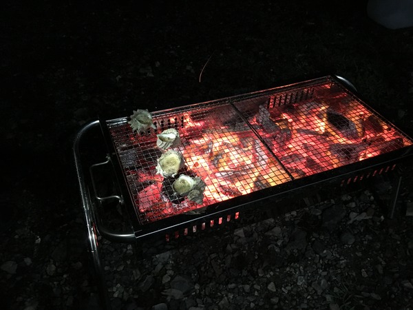 写真 2018-09-08 19 14 00