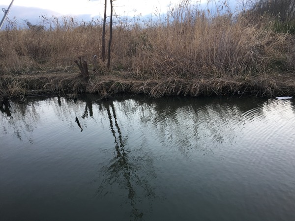 写真 2017-03-15 6 30 26