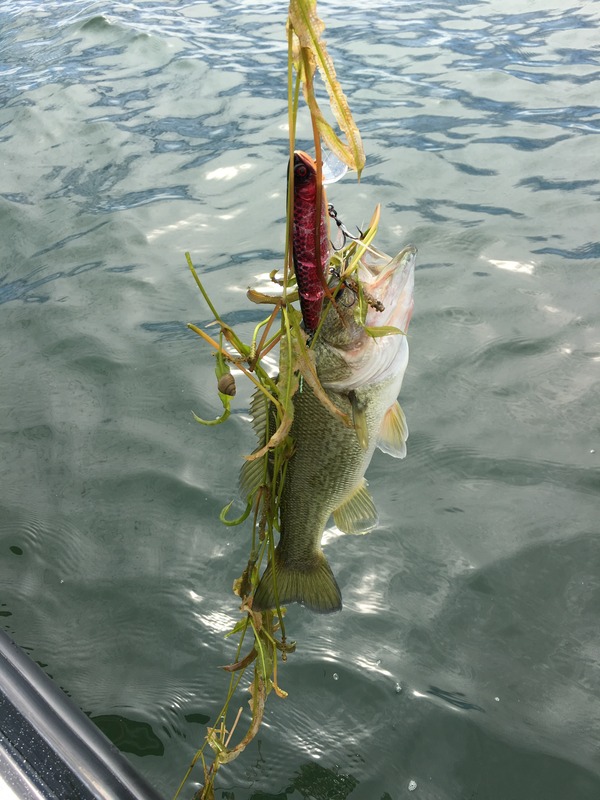 写真 2017-10-05 12 02 41