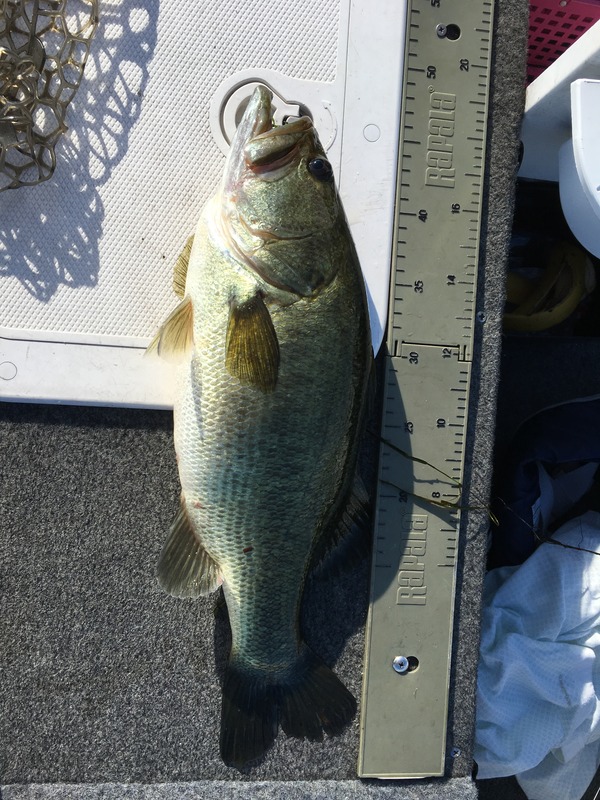 写真 2017-07-26 7 18 20