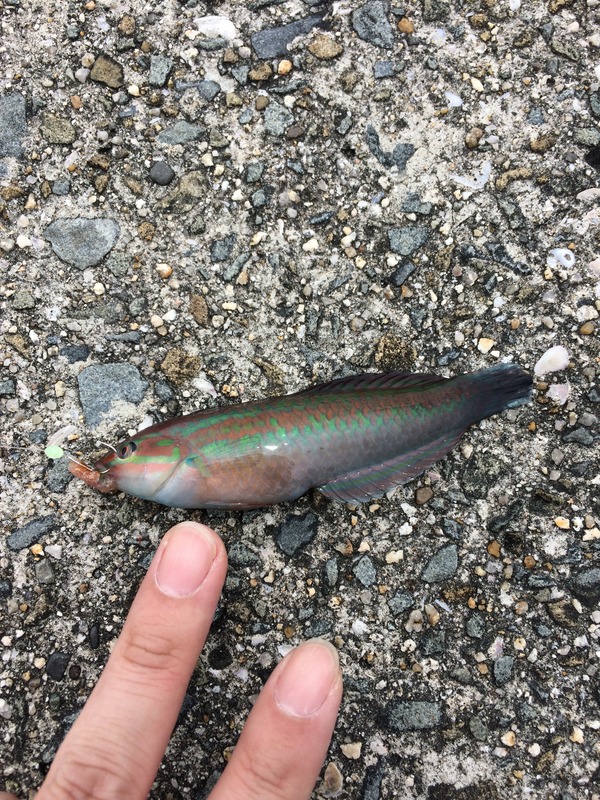 20B3693F-BE87-4322-95D5-A42CAA632EBF