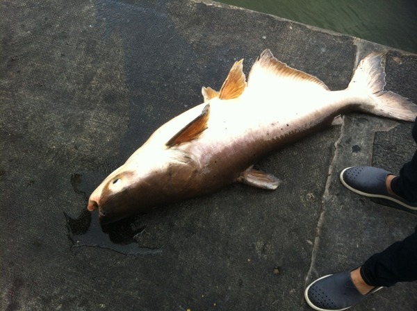 4A661EAD-9272-448E-AAE2-AC94FD1312E4