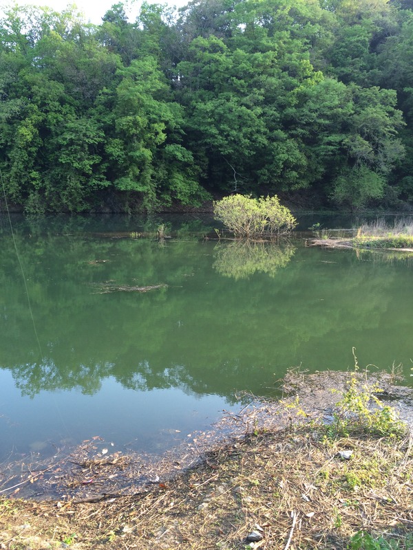 89911DBC-C376-4294-B71F-CE6D67CF9BF0