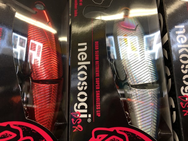 写真 2017-10-05 14 49 23