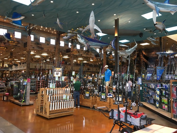 写真 2017-07-15 3 44 01