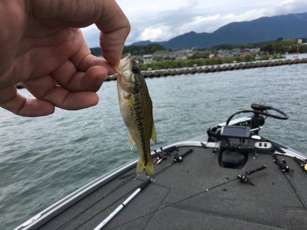 写真 2018-09-02 13 03 49