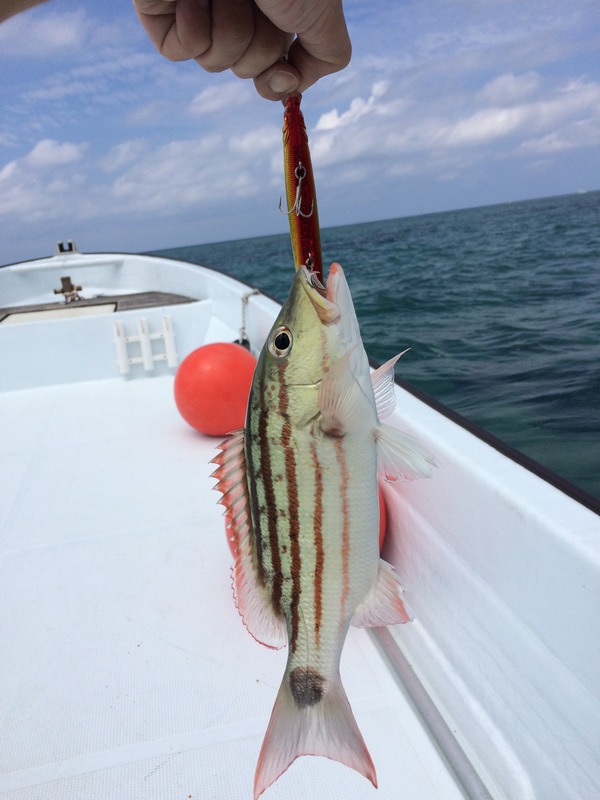 ECF32DE8-CD8B-47B0-B4C0-BAA81B771AF5