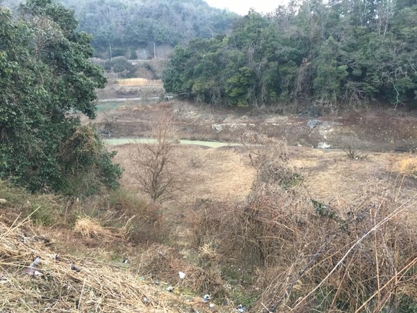 17155858_1298589896900110_1681548787181848037_n