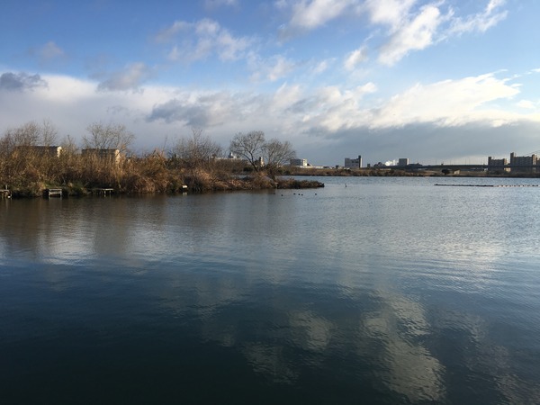 写真 2017-03-15 7 12 55