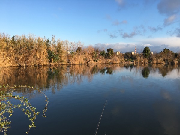 写真 2017-03-15 6 54 59