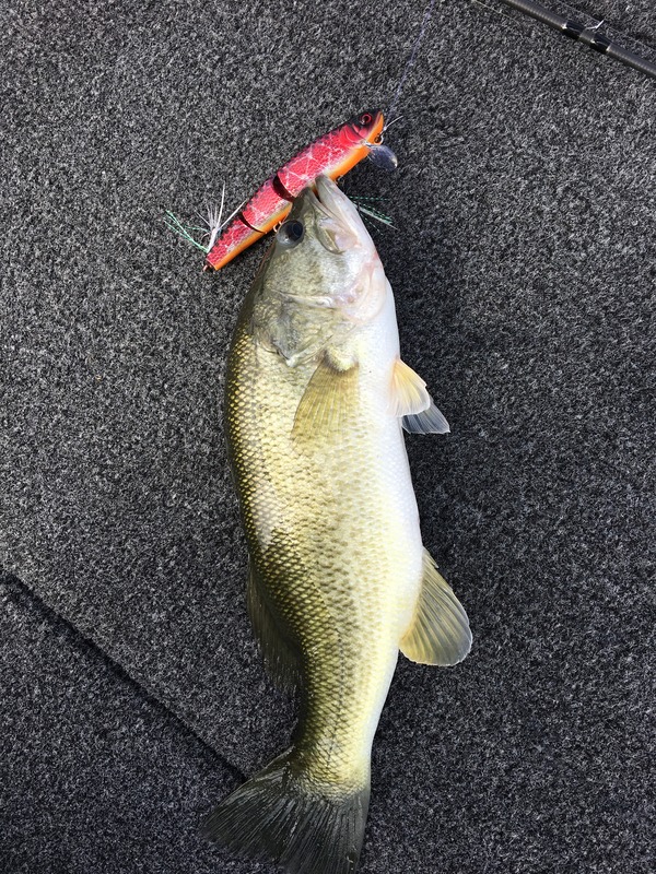 写真 2017-10-05 9 30 43