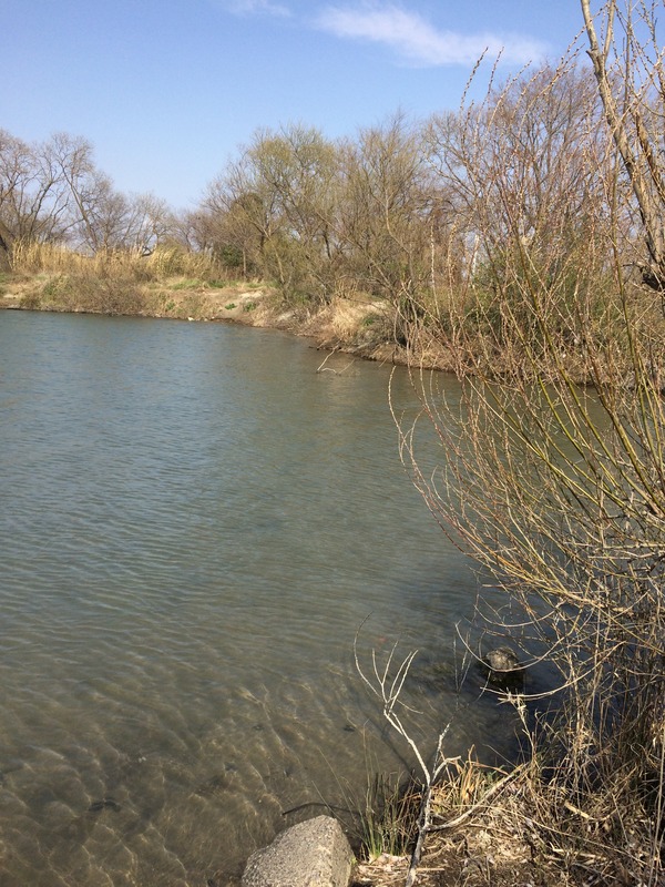 8DA1BA21-ED50-4C92-B5AB-658A70600728