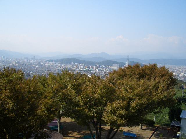 だから好きだと言って 天使になってそして笑ってもう一度 せつない胸に波音が打ち寄せる いつかきみをさらって 彼氏になって口づけ愛まかせ 終わりなき夏の誘惑に人はさまよう 恋は陽炎 ア ア よみがえる 波乗りジョニーより マグロな日々in Livedoor