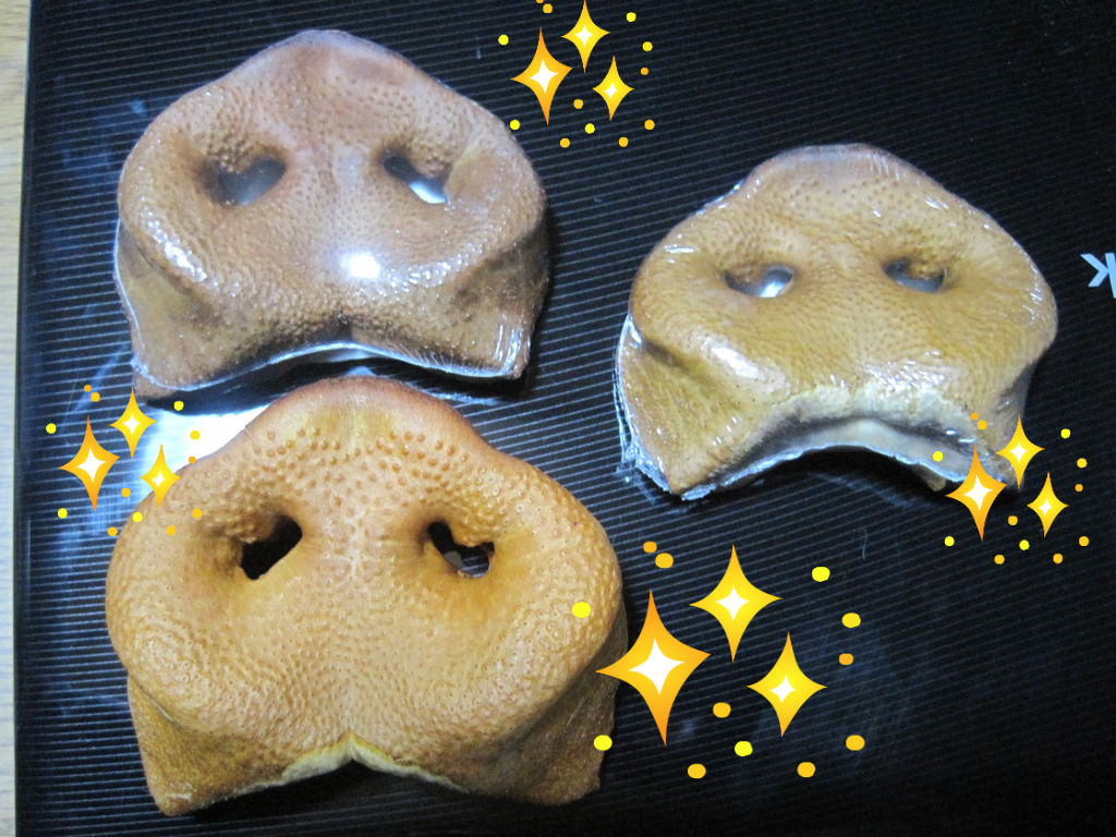 マグルスの好物 マグマグ日記