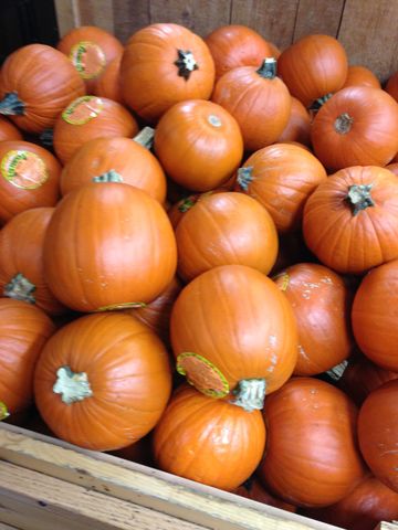 トレジョ16秋のカボチャ祭り ハロウィンカボチャ 新製品 Trader Joe S トレーダー ジョーズ まぐやまのロサンゼルス生活日記