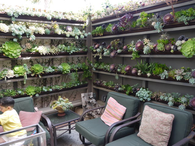 多肉ファン必見 オーシャンサイドにある多肉植物まみれのカフェ Succulent Cafe まぐやまのロサンゼルス生活日記