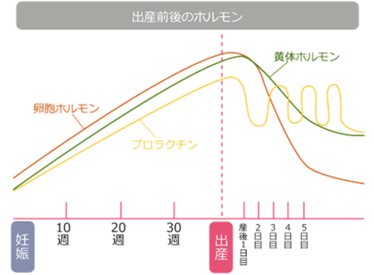 産後の生理再開っていつ 授乳中は生理がこないってホント Mama Life 誰得情報 健忘録