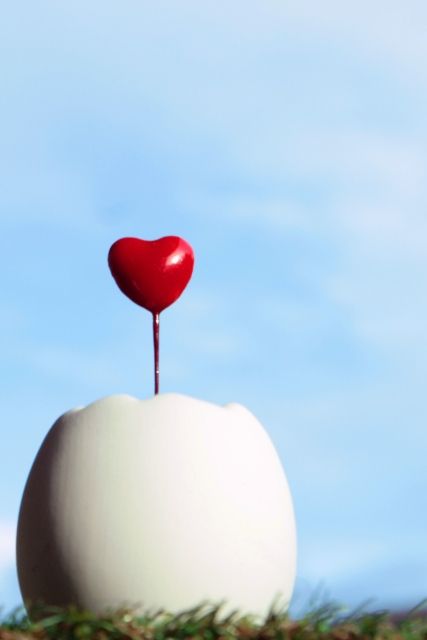 50a1ea14c6da7ac2403933dc2df3b9aa_s