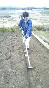 9309e714.jpg