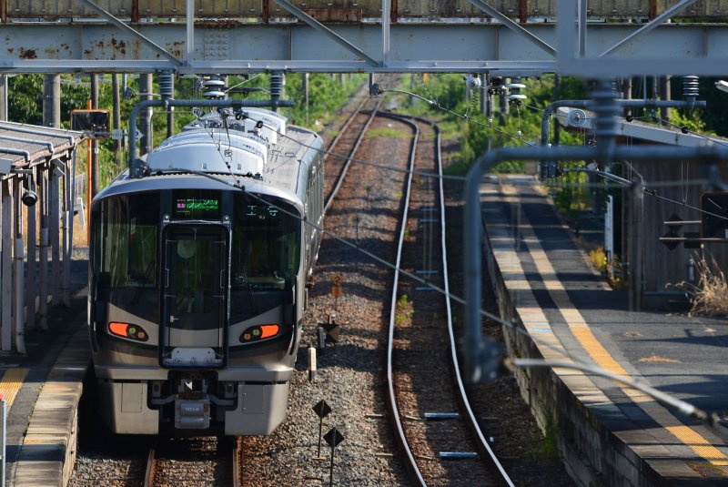 227系。緑の絨毯を行く : √Route1005