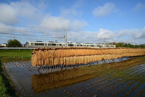 3  2602M  221-03上狛191022