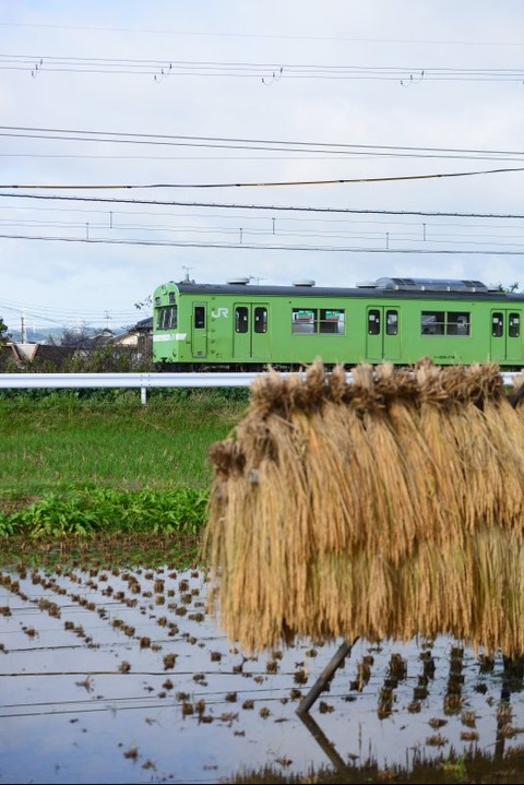 4  622M  103-216上狛②191022