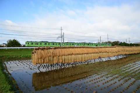 4  622M  103-216上狛191022