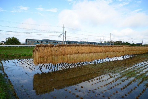 2  609M  205-999上狛191022