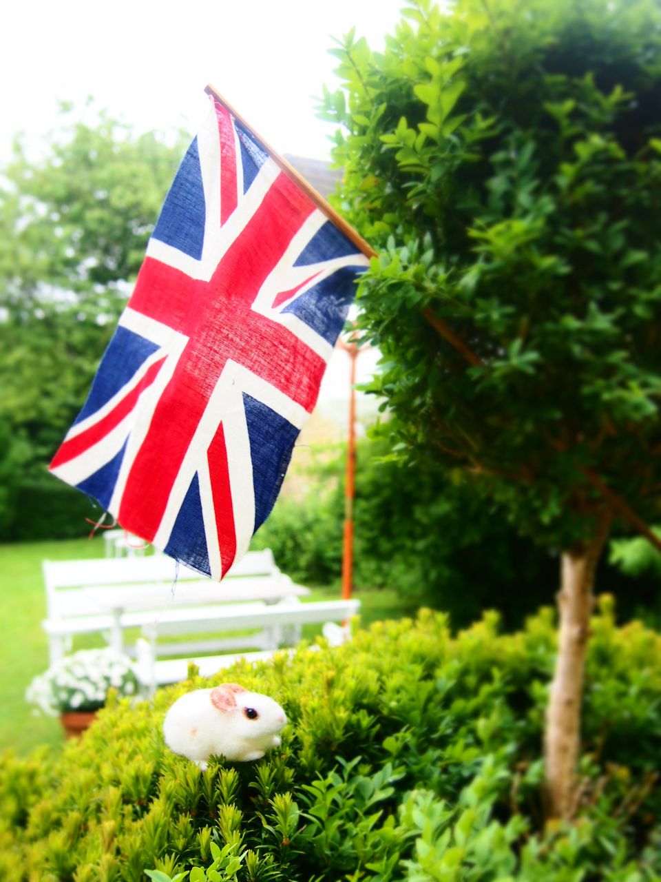 イギリス旅 ロンドン コッツォルズ編 永遠に咲く花のアトリエcocochi イギリス旅 ロンドン コッツォルズ編 永遠に咲く花のアトリエcocochi