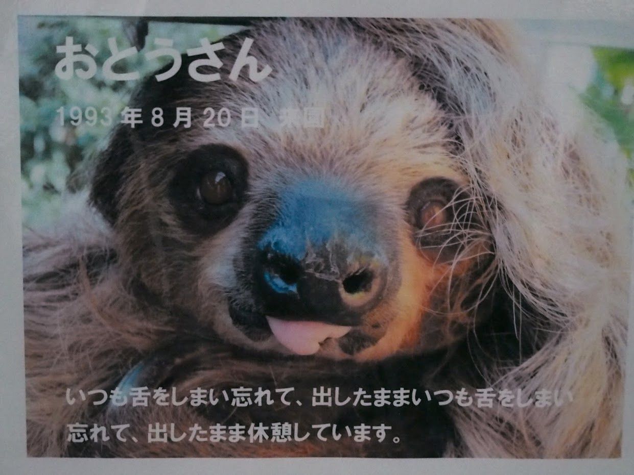 突然のスコール ナマケモノが動き出す レッサーパンダに会いに行く