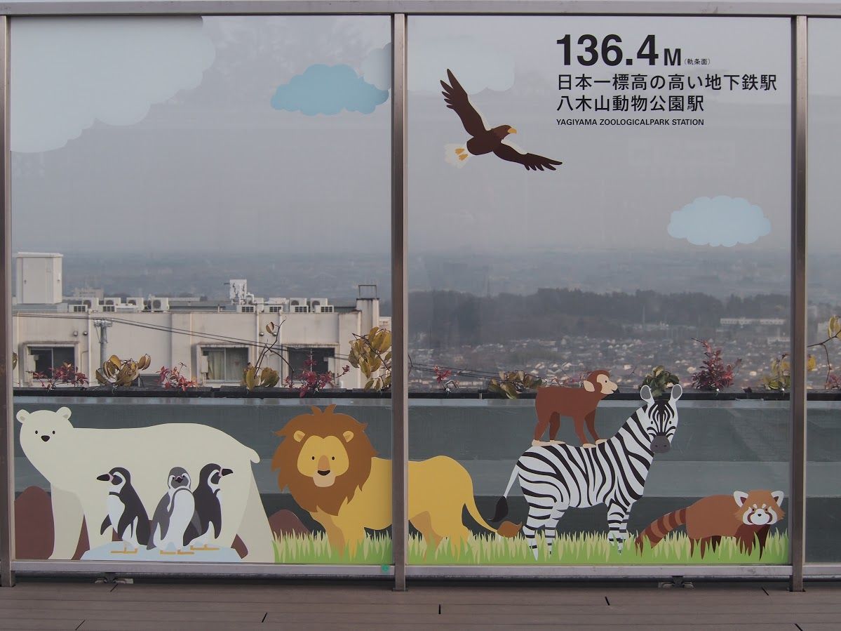 展示が面白い 八木山動物園と動物たち レッサーパンダに会いに行く