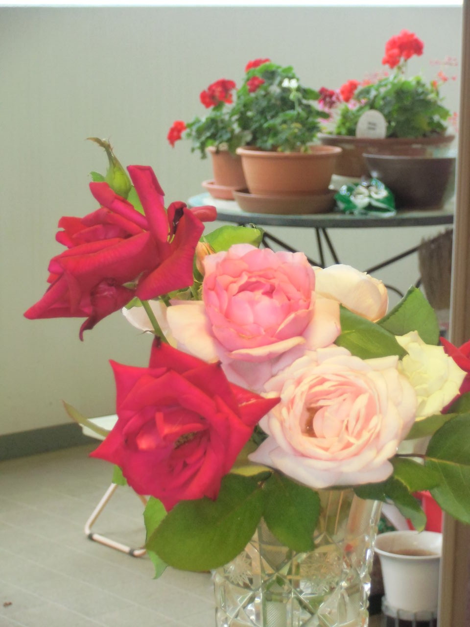 我が家のバラ 畑の恵み まいあみ通信