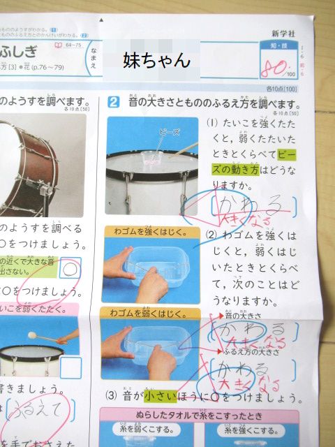 妹ちゃん 理科のテストと 夏のくらし 転勤家庭の育児生活記