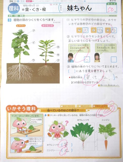 妹ちゃん 理科のテストと 夏のくらし 転勤家庭の育児生活記