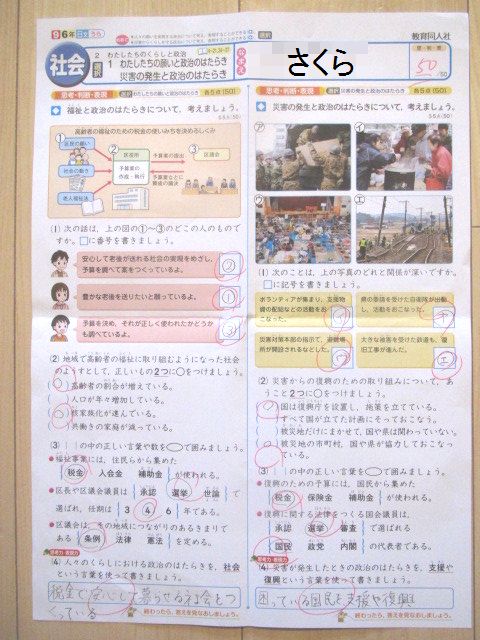 さくら 社会と国語のテスト 転勤家庭の育児生活記